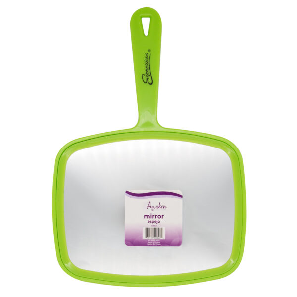 Mirror With Handle